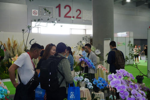 2024花城“新秀花事”亮點(diǎn)搶先看！和廣州國際花藝節(jié)一起解鎖“花經(jīng)濟(jì)”財富密碼(圖4)